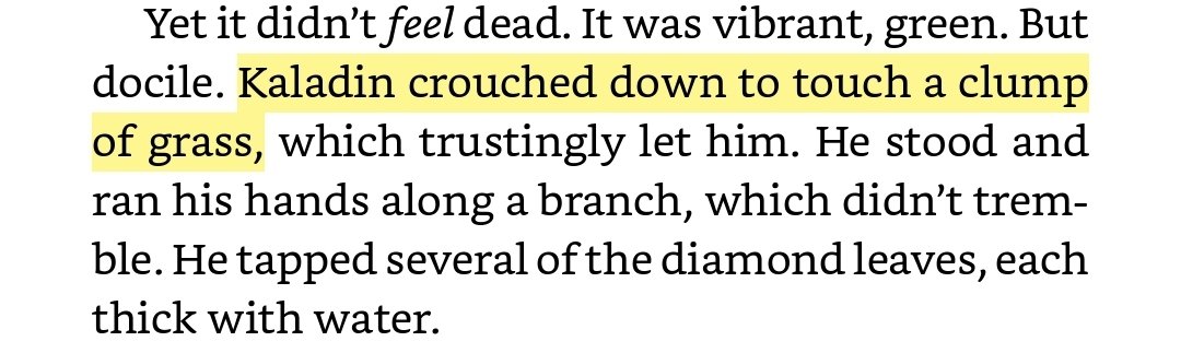renarinkholins's tweet photo. #stormlight5spoilers
#windandtruthspoilers https://t.co/D5gsKtawc0