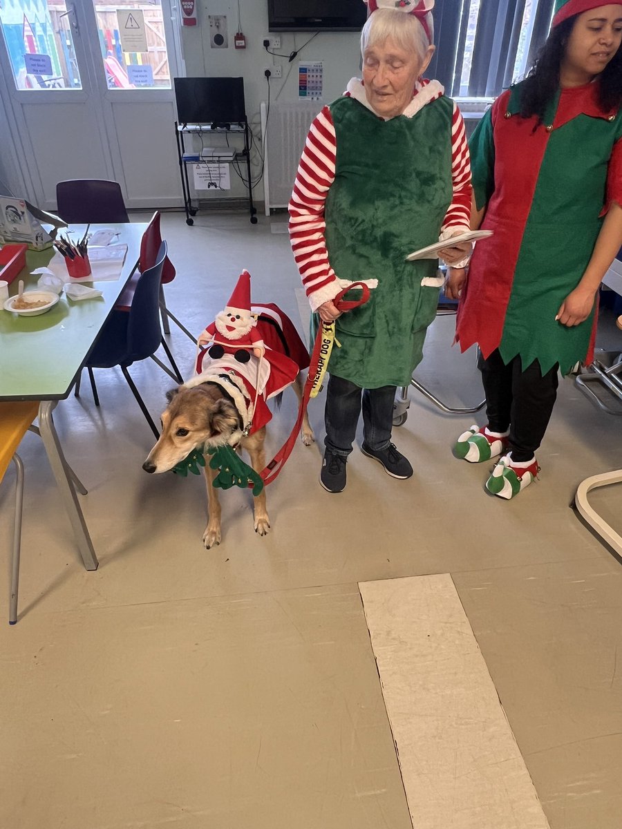 James Rossano Bull tweet media