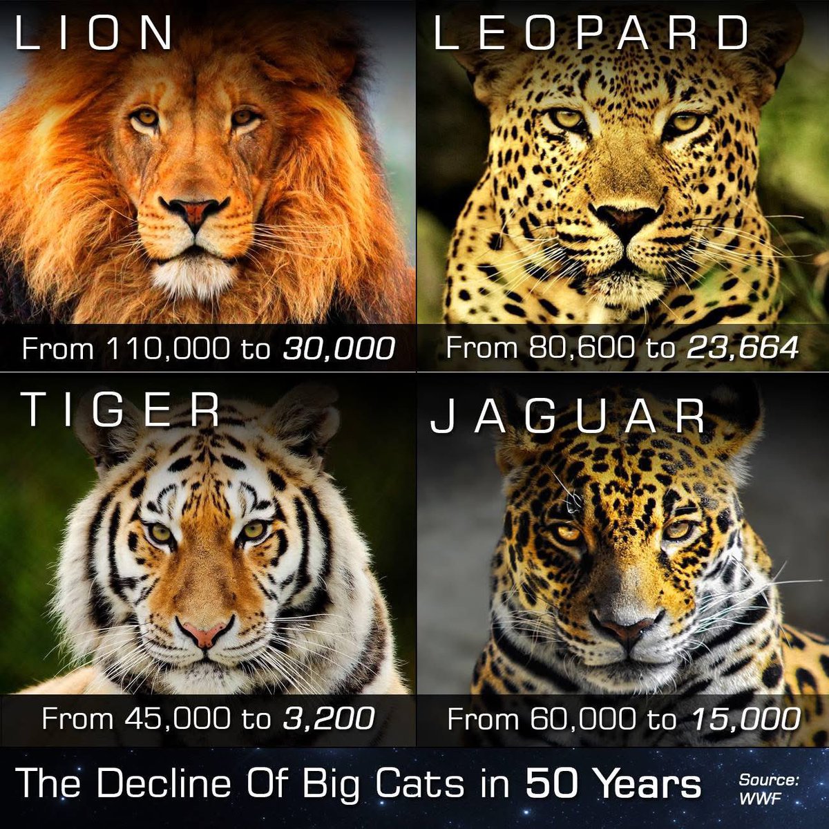 That… save our wildlife, it’s crucial for our survival . Going to Mars isn’t.