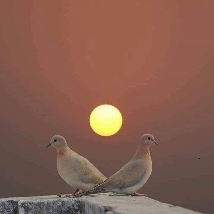 آشواق  منسية (@omlolo5) on Twitter photo 