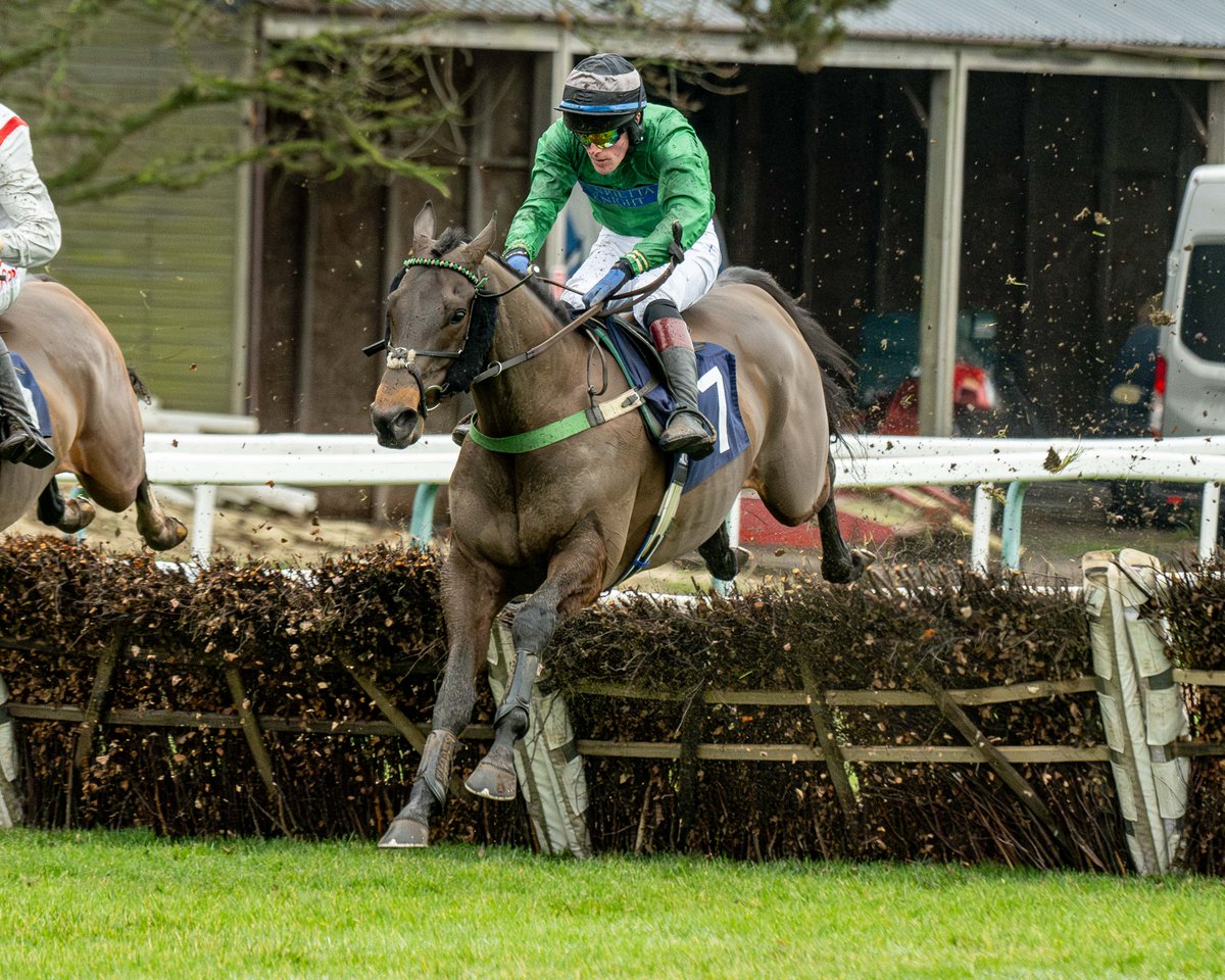 Fontwell Park tweet media