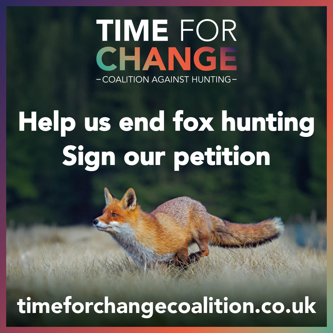 RSPCA_official's tweet image. Wildlife should be celebrated on Boxing Day, not caught up in trail hunting. We urge the Government to strengthen the Hunting Act.

Sign the Time for Change petition 👉 timeforchangecoalition.co.uk

Illegal hunting should be reported to the police, who will call if they need us.
