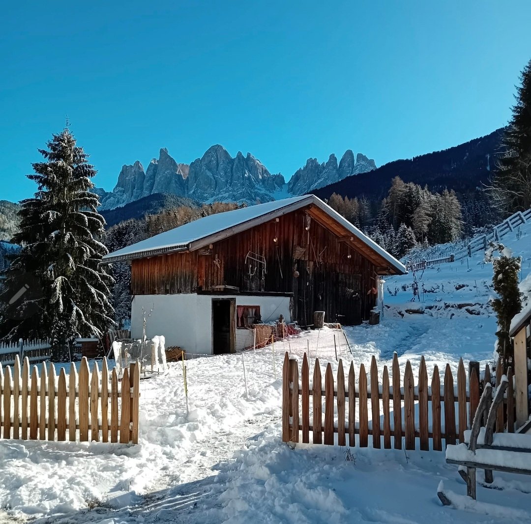 HannaPappalardo's tweet image. #MeravigliedItalia #AltoAdige 
#ValdiFunes #Lippmöshof