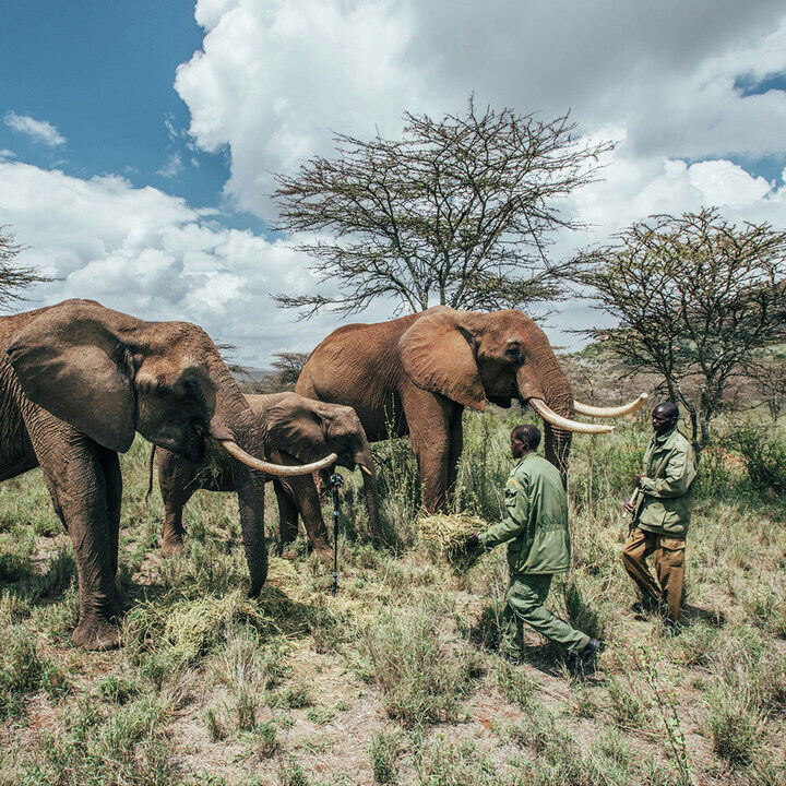 Satopia Travel tweet media