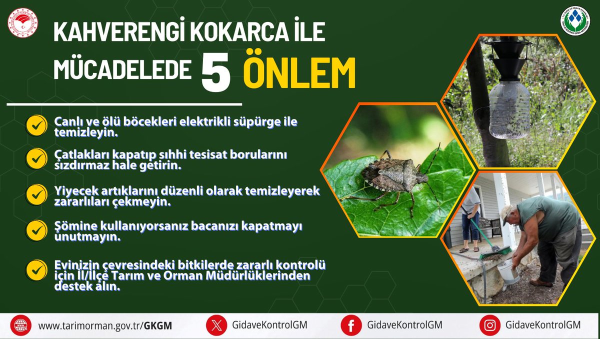 #KahverengiKokarca #BitkiKoruma #Tarım  #BitkiSağlığı
<a href="/TCTarim/">T.C. Tarım ve Orman Bakanlığı</a> <a href="/ibrahimyumakli/">İbrahim Yumaklı</a> <a href="/ErsinDILBER_/">Ersin DİLBER</a> <a href="/AhmetGumen/">Ahmet GÜMEN</a>