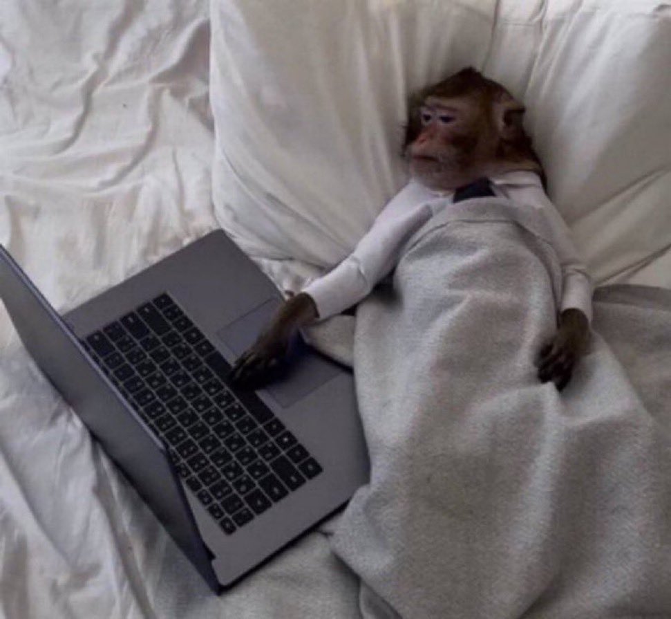 "Il faut faire la fête le 31 décembre !! "

Moi le 31 décembre : *épisode suivant*