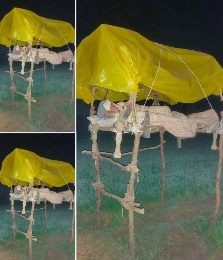 महलों में सोने वाले और गाड़ियों में चलने वालों को क्या पता कि किसान कितनी मेहनत करके अपना पेट भरता है तथा दूसरों के लिए अनाज की व्यवस्था करता है 🥺🥺