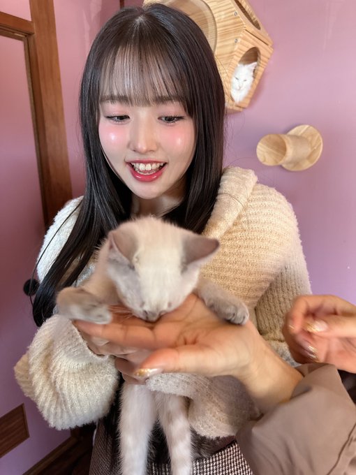 りりのTwitter画像22