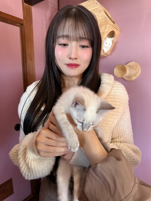 りりのTwitter画像23