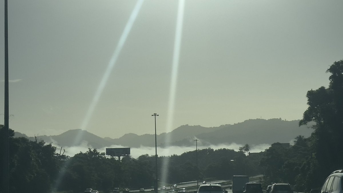 Neblina +Bruma +Sol = tiempo en esta mañana