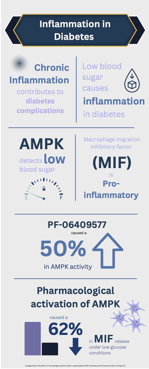 Craig Beall_Lab🏴 (@craig_beall) on Twitter photo New study led by Jiping Zhang - low glucose increases macrophage migration inhibitory factor (MIF) release from macrophages. Allosteric #AMPK activators do a decent job at attenuating/limiting MIF release <a href="/diabmedwiley/">Diabetic Medicine Wiley</a> #ExeterDiabetes <a href="/DUK_research/">Diabetes UK Research</a>. Explainer to follow New study led by Jiping Zhang - low glucose increases macrophage migration inhibitory factor (MIF) release from macrophages. Allosteric #AMPK activators do a decent job at attenuating/limiting MIF release <a href="/diabmedwiley/">Diabetic Medicine Wiley</a> #ExeterDiabetes <a href="/DUK_research/">Diabetes UK Research</a>. Explainer to follow
