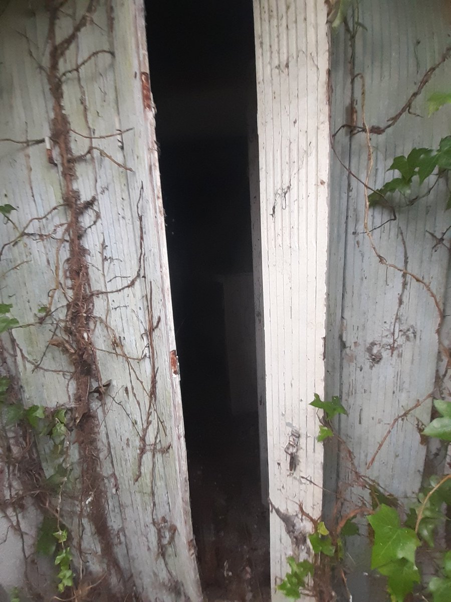 BellesEtPur3s's tweet photo. au détour je retrouve ces volets, avec un peu d'effort (et quelques coups de pieds) j'arrive à entrouvrir une fente assez large #SkinnyPrivilege https://t.co/2v6Hp9nZXL