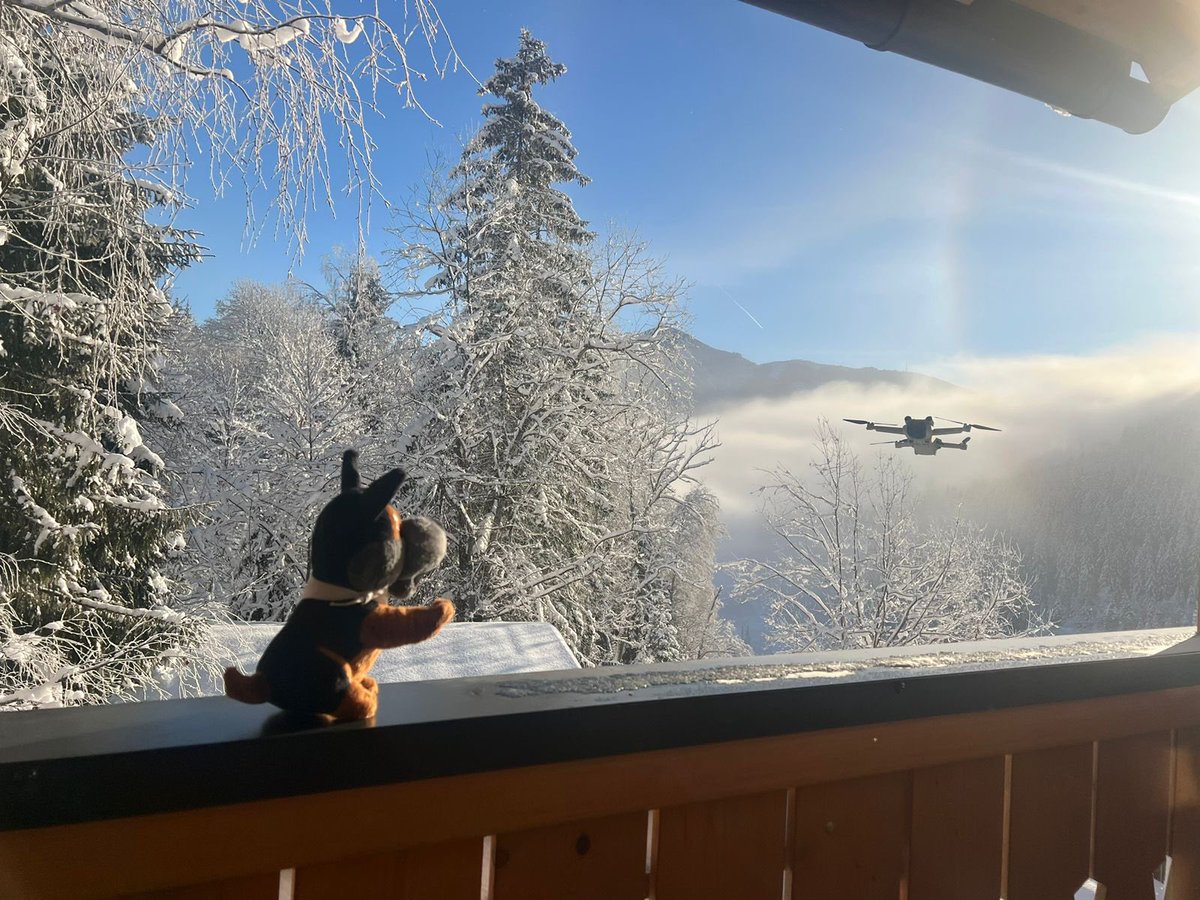 Hope you all have had a wonderful time with family &amp; friends! 🎅🏻 🎄 🎁 

Not exactly sure what’s going on here but Bob certainly seems to be back out on his adventures! #wheresbob