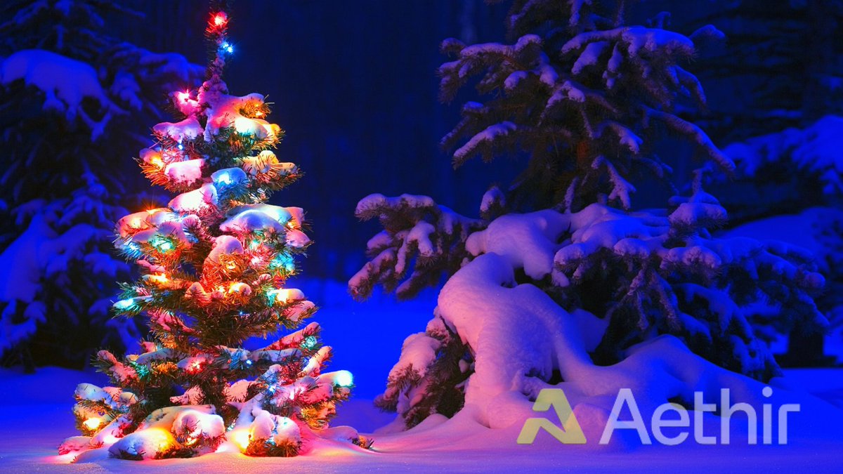 aleksander_100 tweet picture