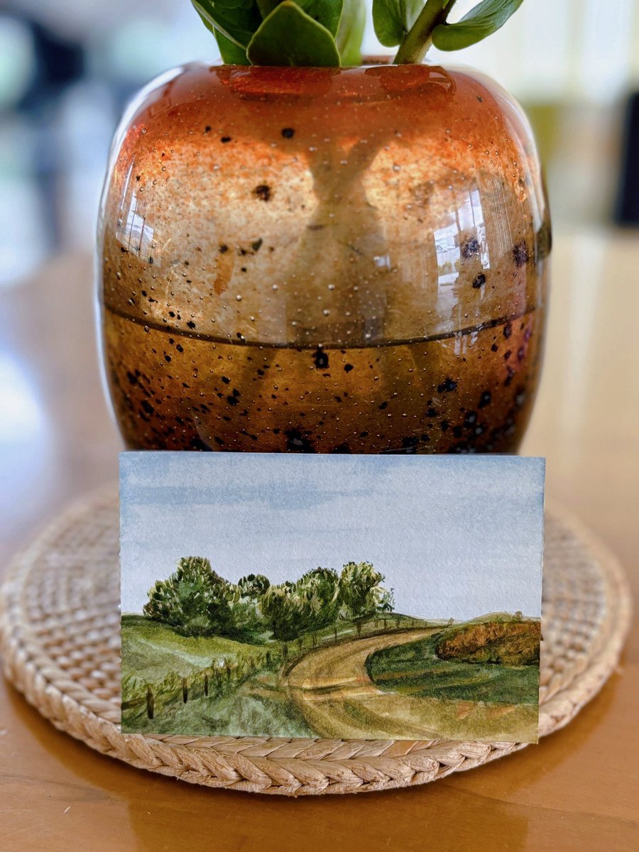 一下午的雨 气温很低 我和查理在家各自找事情做 他玩了一会玩具后去打盹了 我呢画了一张小画