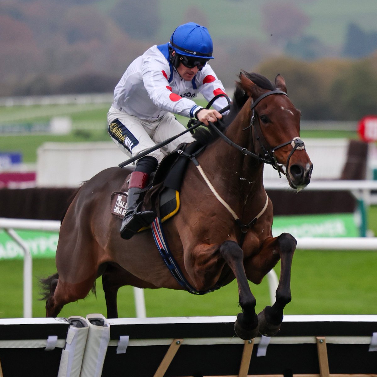 Racing Post tweet media