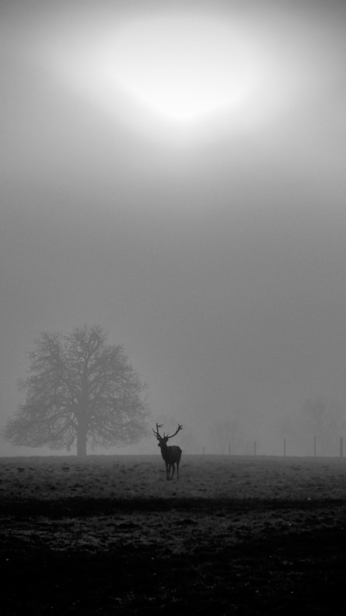 Joe Stephenson tweet media