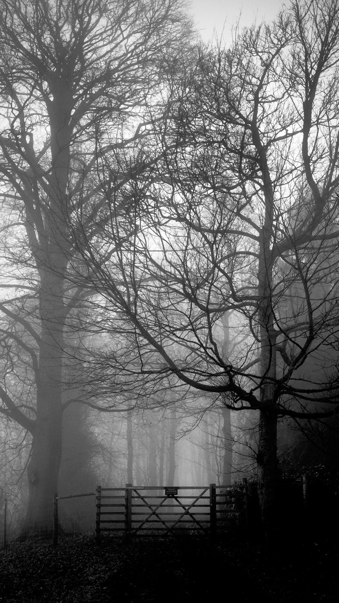 Joe Stephenson tweet media