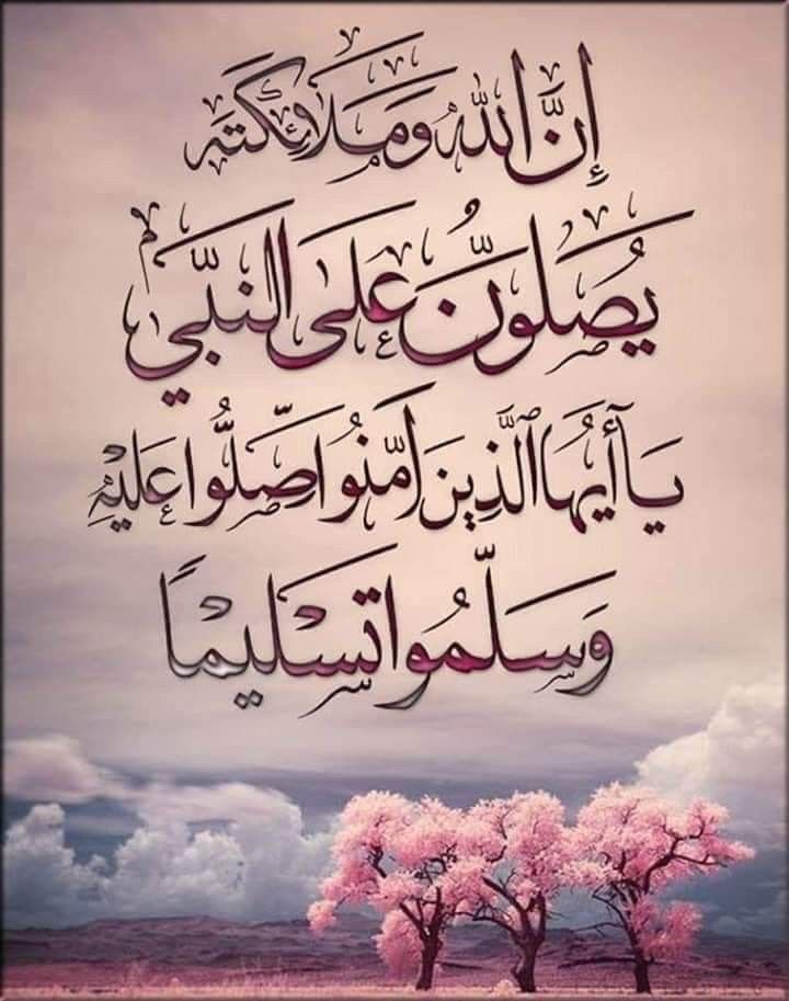 احمد السامعي tweet media
