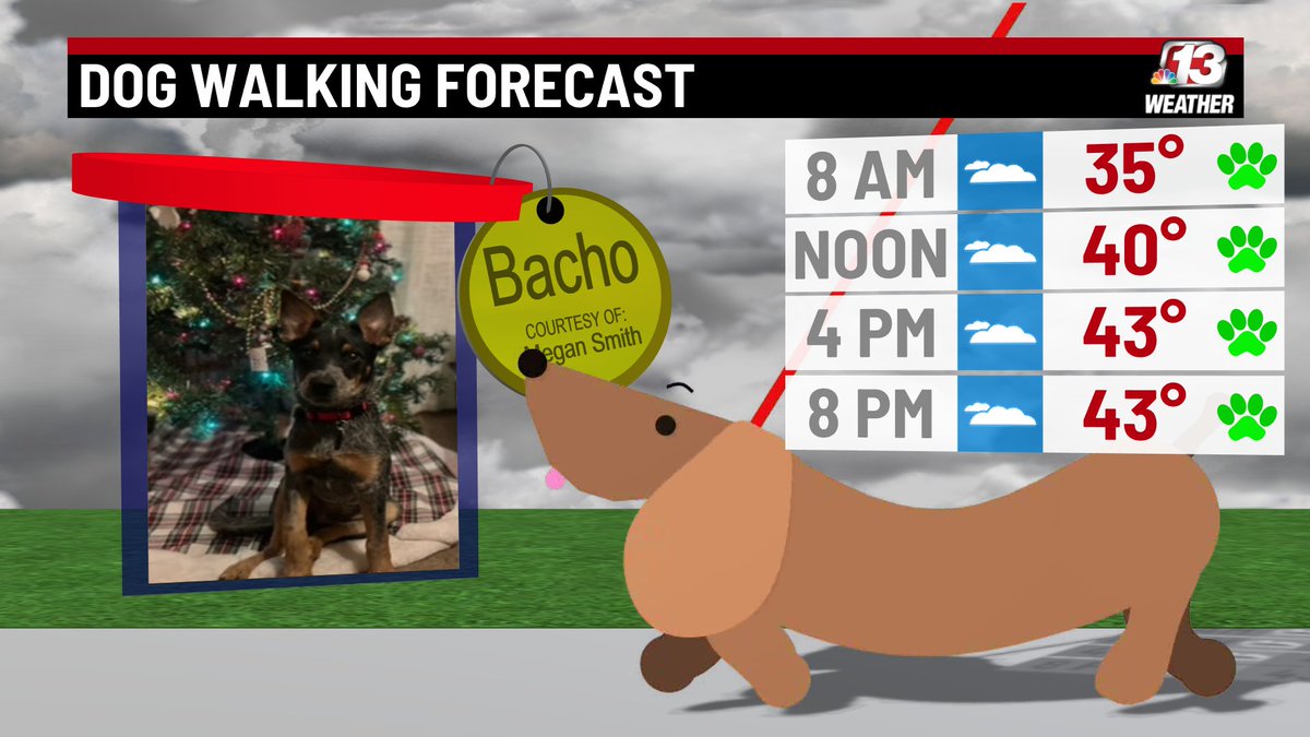 WXMegs's tweet photo. Dog Walk Forecast - Thursday Dec. 26, 2024: Bacho is enjoying the sparkling lights of the tree. A light may be needed on the walks today as dense fog is in place, especially for the morning. #iawx #dog #dogwalk #dogwalkforecast https://t.co/YU5EB0fEVp