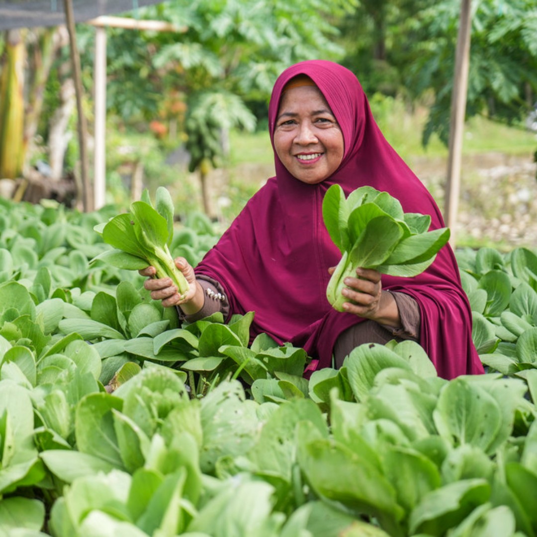 International Fund for Agricultural Development tweet media