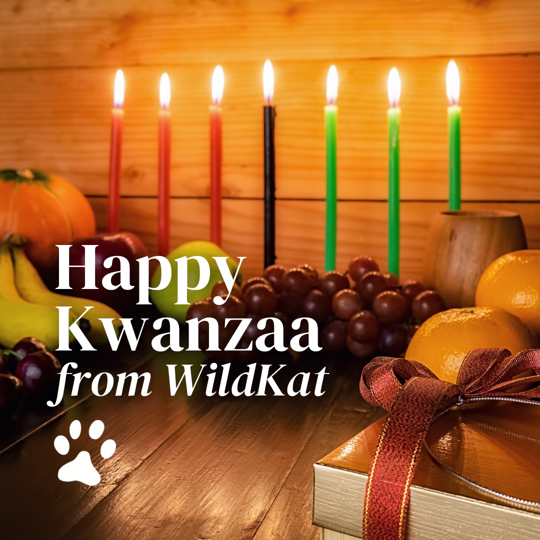WildKat London (@wildkatpr) on Twitter photo ❤️🖤💚 Happy Kwanzaa from WildKat!
We wish you and yours a day of prosperity, unity, and faith.
-
#happyholidays #classicalmusic #present #gift #kwanzaa #hanukkah #christmas ❤️🖤💚 Happy Kwanzaa from WildKat!
We wish you and yours a day of prosperity, unity, and faith.
-
#happyholidays #classicalmusic #present #gift #kwanzaa #hanukkah #christmas