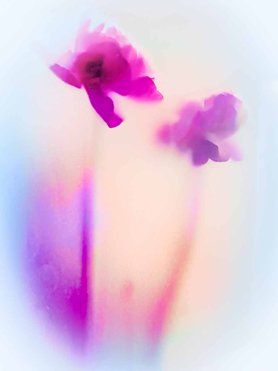 ArtAscent's tweet photo. Original art by Leanne Trivette S., published in our Floral issue. https://t.co/0LQVl4rW9P Credit to the artist.
#DistinquishedArtist #ArtAscent #ArtMagazine #FloralIssue #Artist #ArtCollector #ContemporaryArt #Artwork #photography https://t.co/J34jNgfHFE