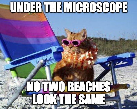 over the microscope they don’t either