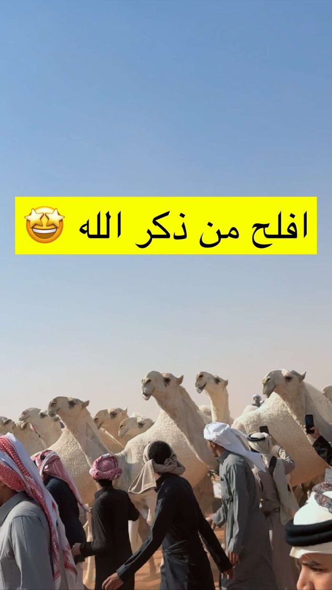 ok50510's tweet photo. #ابن_جخدب 
تصويري 👏🤩

عيال مضيم فخر القبايل
 ما فوقنا الا ربنا الي خلــَقنا

من خلقة الدنيا وحنا الأوايــّل 
ما عمرنا خلف الصفوف انفهقنا❤️
 #ابن_جخدب

حتى لو كسرت المرايه فدا لعيون ابن جخدب 🫡 https://t.co/XWWzlMDPmz