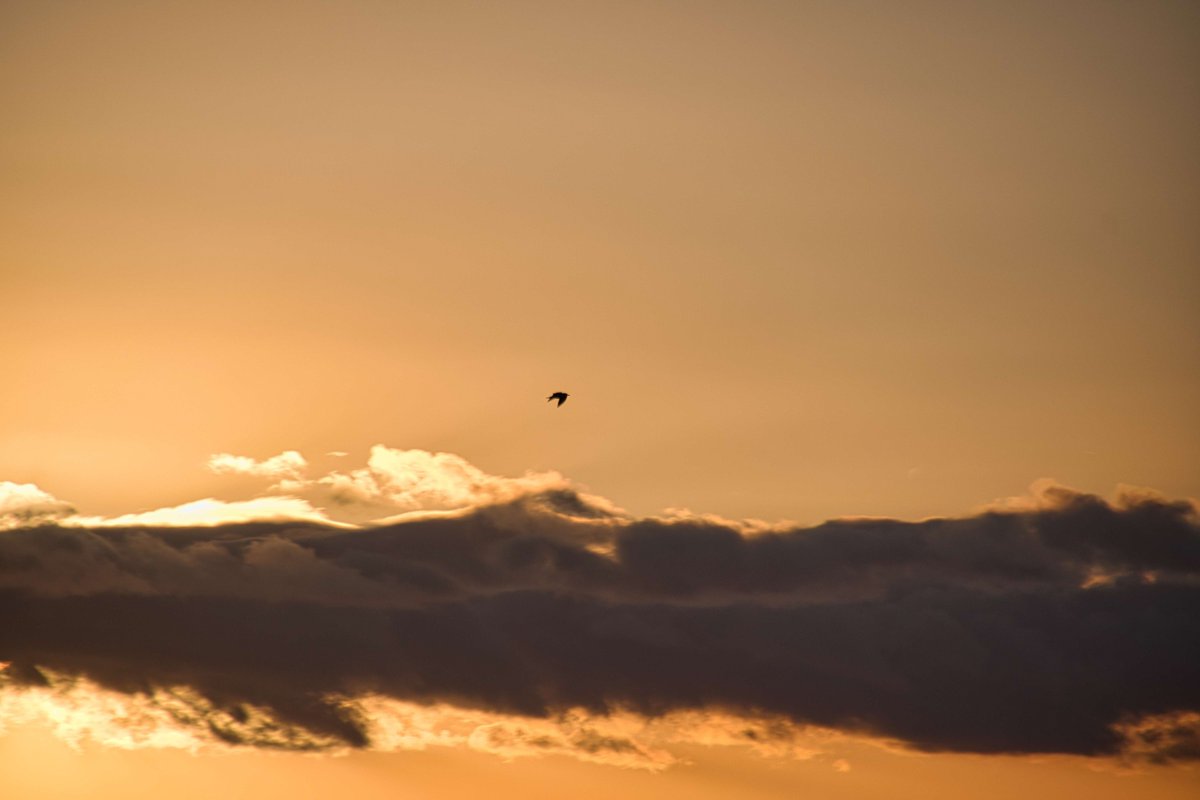 お疲れさま
#写真撮ってる人と繋がりたい #写真で伝えたい私の世界