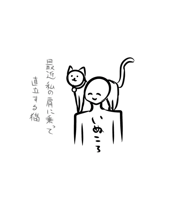 近況(黒猫約5kg) 