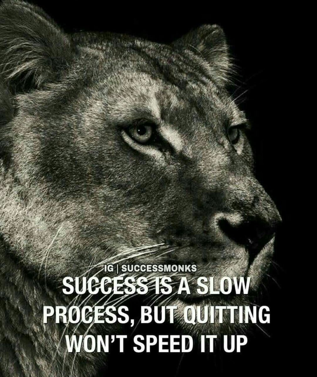 moedouglass7_sr's tweet image. Keep Pressing:✊🏾🏈💙💛
#EmbraceTheProcess💪🏾❗️