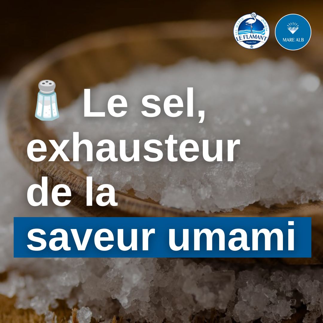 mare__alb's tweet photo. Saviez-vous que le sel amplifie l'umami, la 5ᵉ saveur ? Ce goût savoureux présent dans les tomates, le parmesan ou les fruits de mer est renforcé par le sel, qui réduit l'amertume et sublime les arômes.  Ajoutez-en une pincée pour réhausser la saveur de vos plats ! https://t.co/IQJMTCFiHU