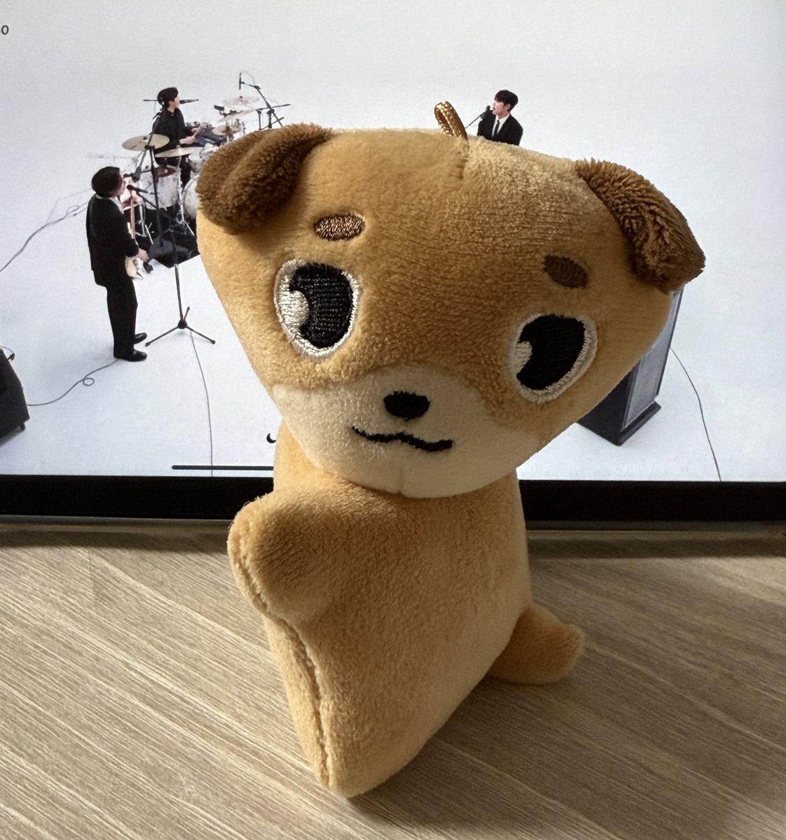 ㅅㅂ진짜개웃참함
  ㄴ 니가세모로만들어놓고왜웃어