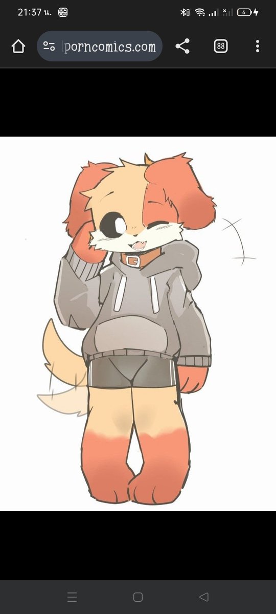 DOG DAY (@hnxyna94402) on Twitter photo 