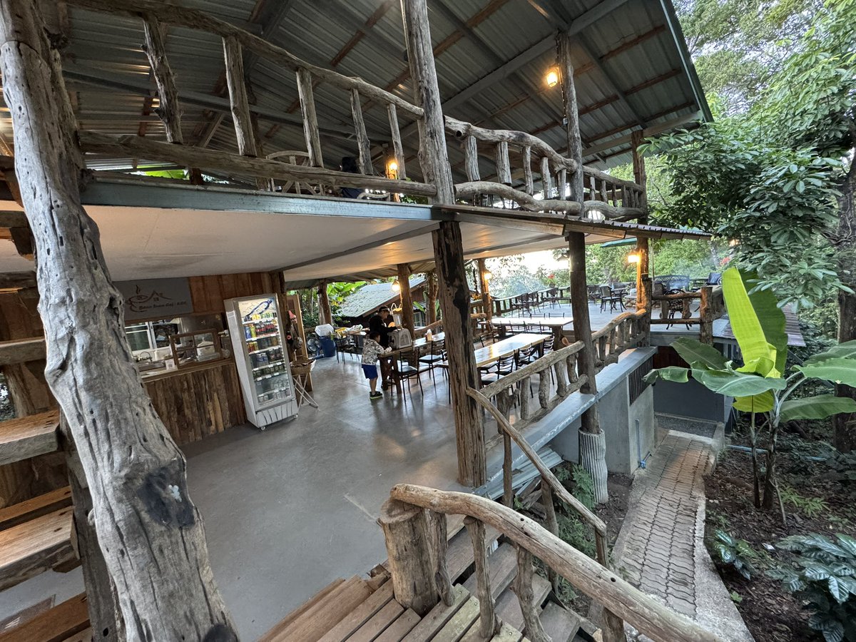 Shashi Lo tweet media