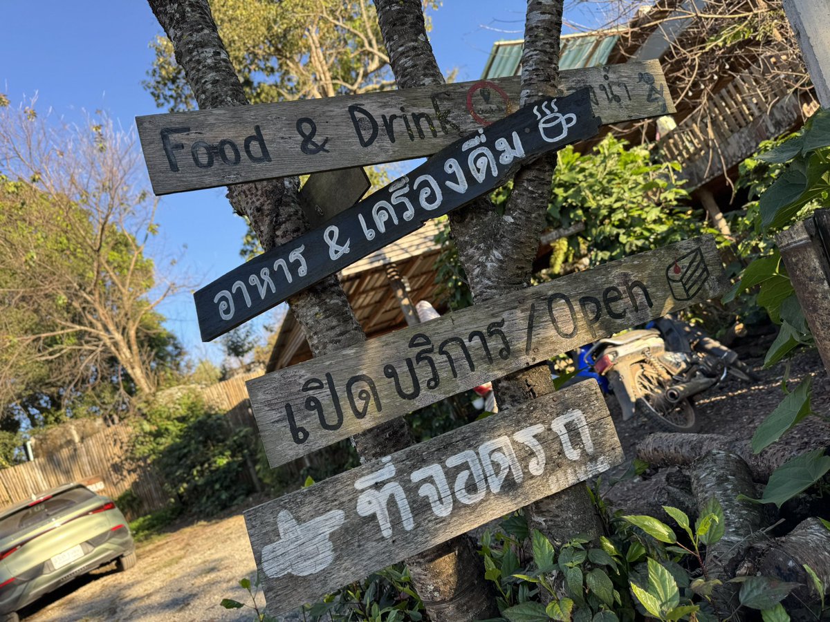 Shashi Lo tweet media