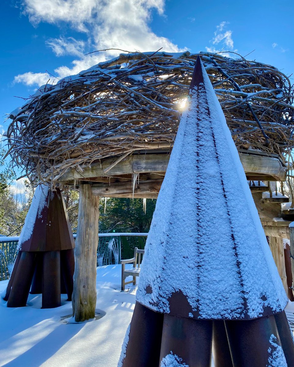 Holiday Week at The Wild Center is here! We’re open EVERY DAY through December 31 from 10 am to 5 pm and at night for Wild Lights from 5 pm to 8 pm, starting today. Plan your visit and get tickets at hubs.li/Q030x3kS0.