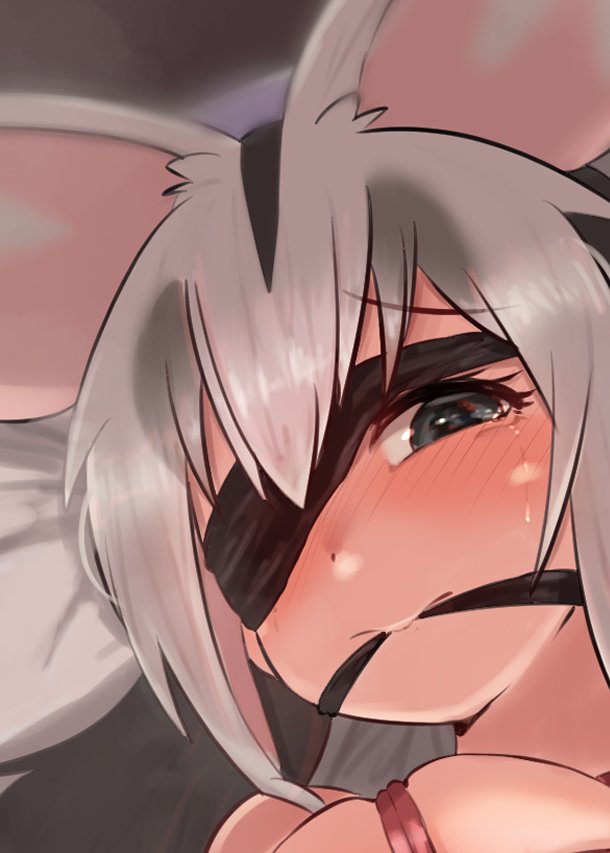 「けもフレ 緊縛・拘束合同」にシロミミオポッサムちゃんを描きました
是非とも手に取って見てください 