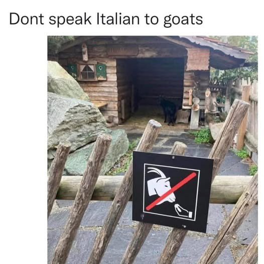 #meme #italiano