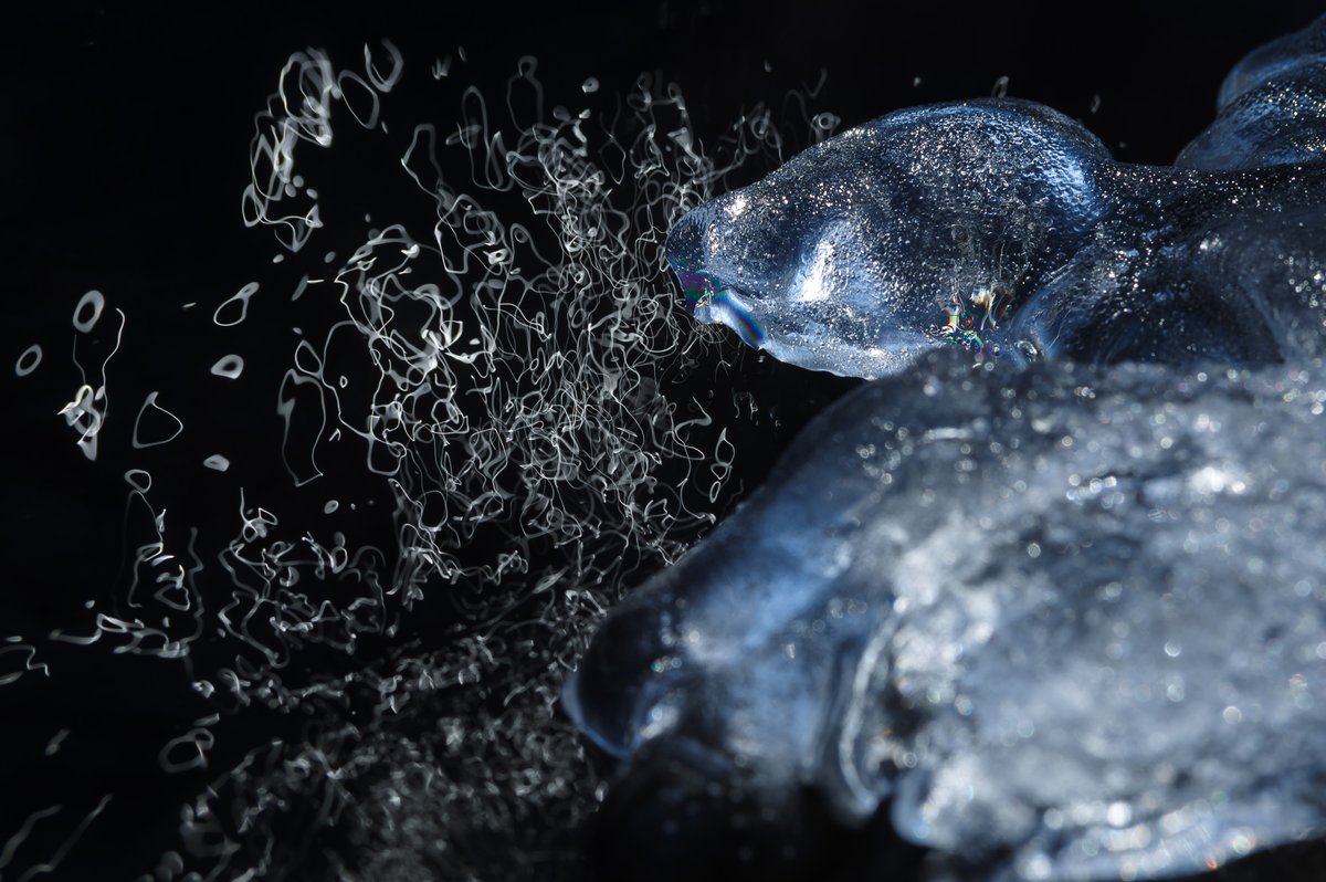 TT__Photo's tweet image. 色々あるけれど、この4枚を

就職直前に弾丸で屋久島に行ったり、東京では初めてグループ展に参加したり。色々なものを吸収し更新しながら、自分のかたちもできてきたのかなと。
少しだけズレた視点で熊本・九州の風景を切り取っていければなと思います。

#2024年自分が選ぶ今年の4枚