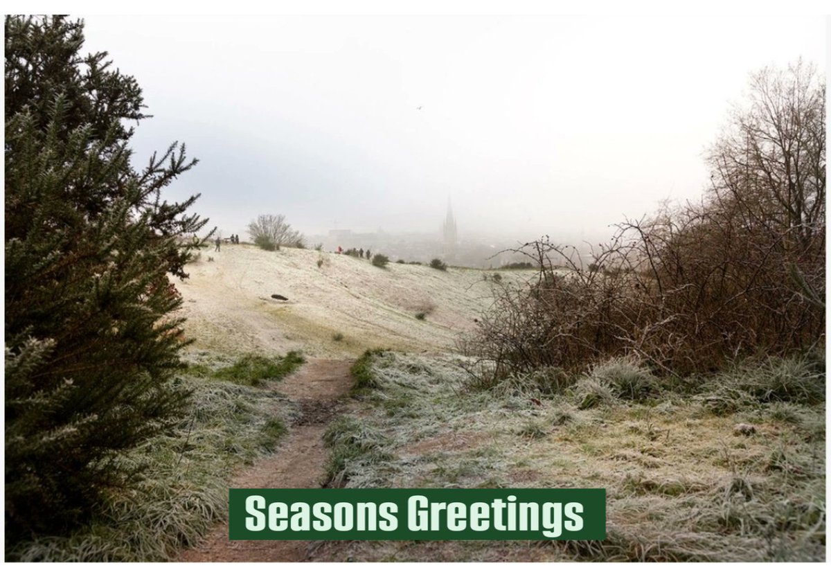 L A Noble Gallery tweet media