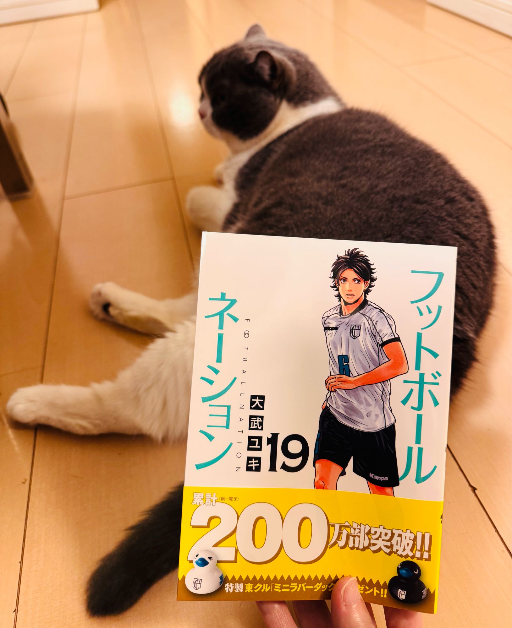 【まとめ読みにオススメ】 フットボールネーション　1～19巻