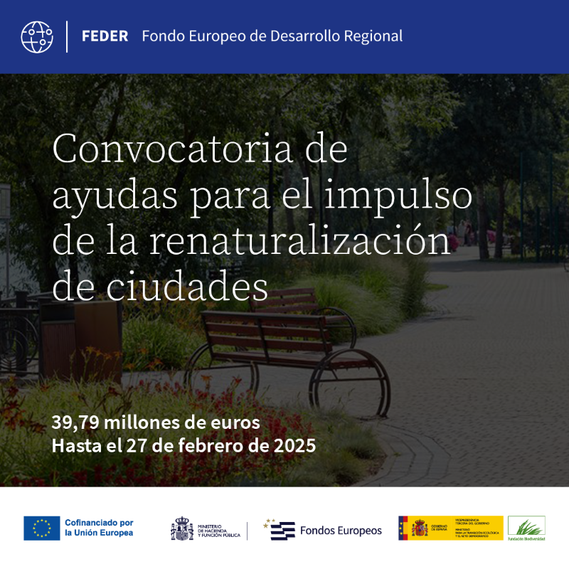 FBiodiversidad's tweet photo. 🌿 ¡Nueva convocatoria #FEDER para renaturalizar ciudades!

💡 Proyectos enfocados en la recuperación urbana y zonas afectadas por la DANA.

💵 39,8M€
💰 Entre 2,5M€ y 3,5M€ por proyecto.
🗓️ Hasta el 27 de febrero.
ℹ️ Más info 👇👇👇

#ProyectosFB #ProyectosFEDER @FondosUE_Esp