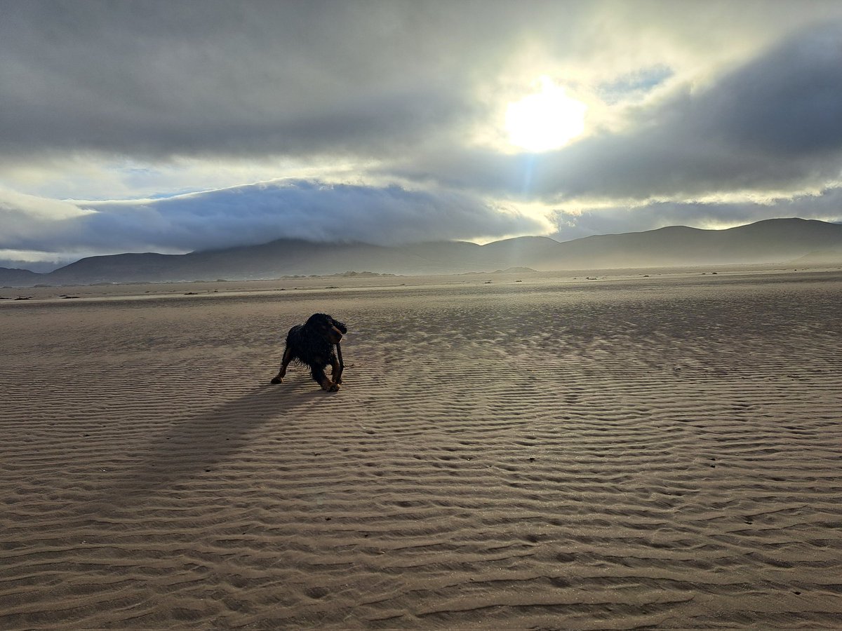 Rossbeigh 🤩