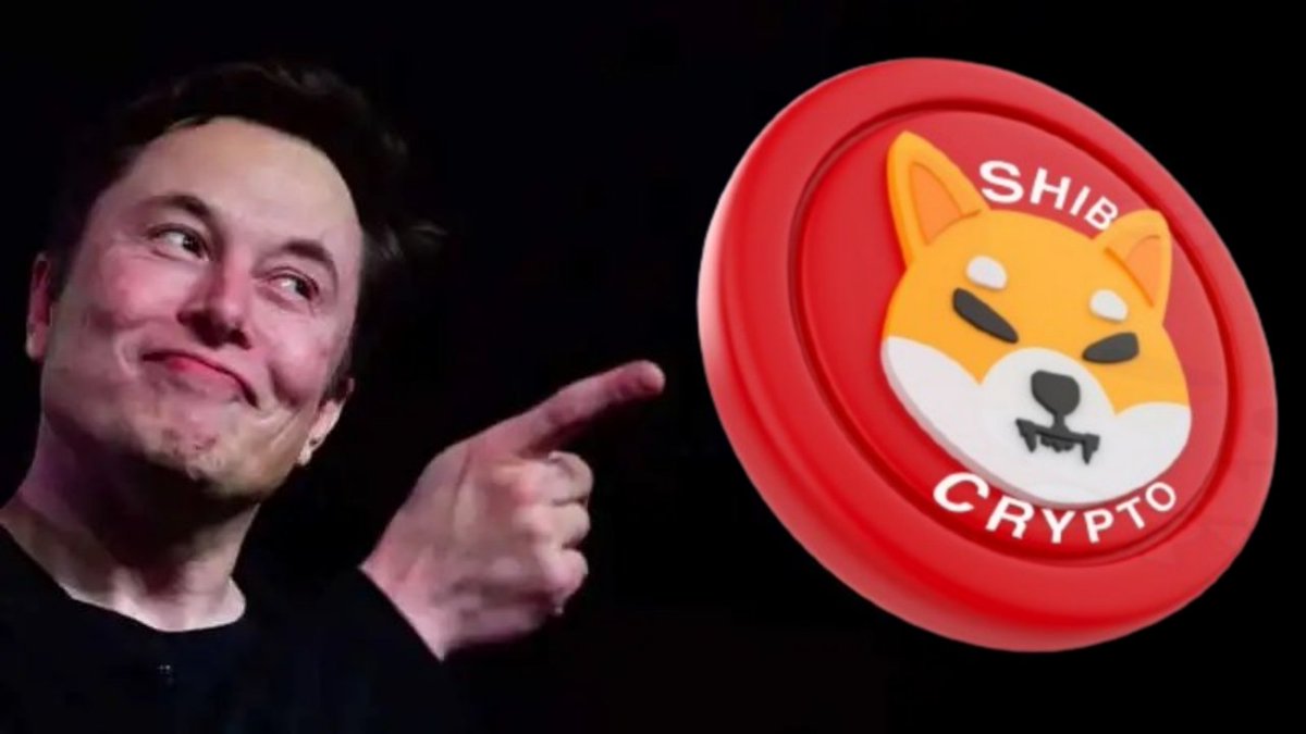 SHIB Mortal tweet media