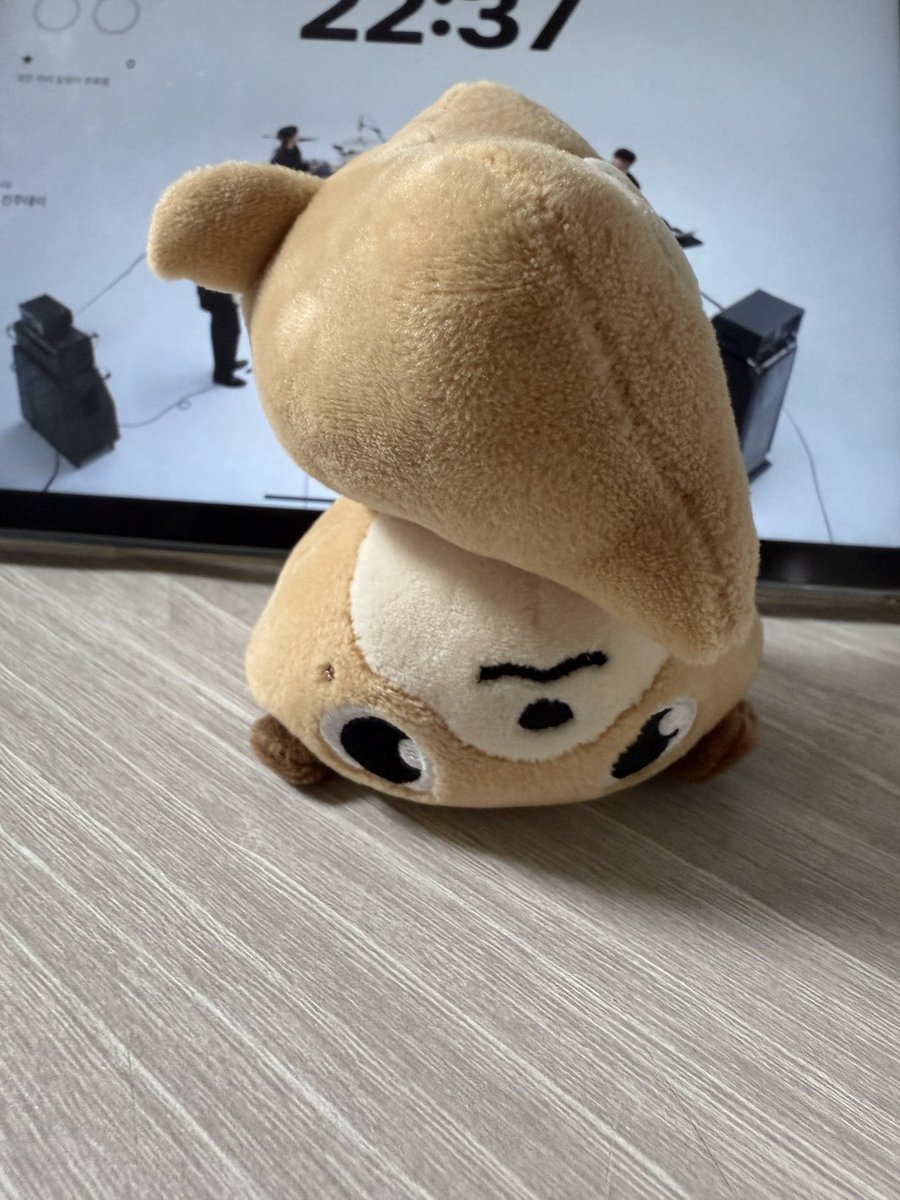 세모눕돈이비보잉도가능함