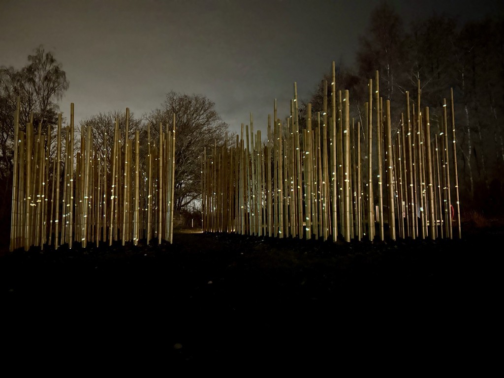 zoecorkhill's tweet image. Patches of bamboo are lit up with projections as a soundscape full of tuneful rhythmic music paired with noises from nature accompanies the visual experience

Read more 👉 bit.ly/49BdZEW

#LightTrail #LightCycles