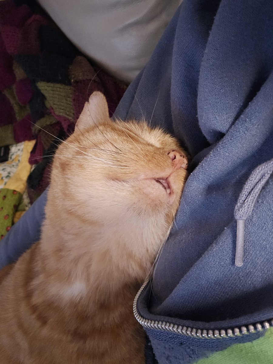 This precious boo! ❤️❤️❤️❤️❤️
Butterbean