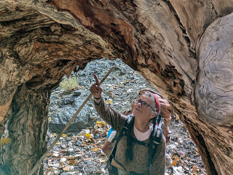 Happy Holidays including the upcoming Ladakhi New Year. And what next for the HELP Team? - mailchi.mp/c12b1f.../and-…